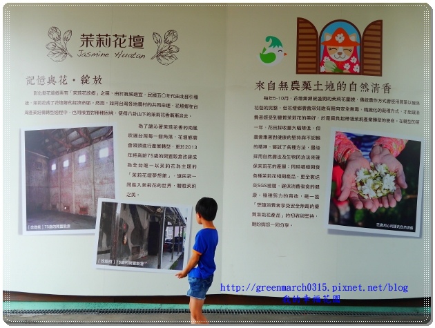 P9100084 (620x465).jpg