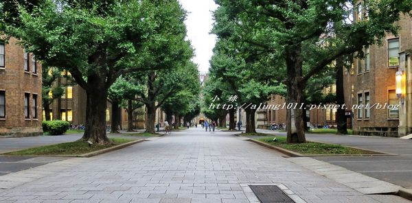 本郷中央食堂:逛一流學府校園、嚐學生餐廳美味~~ ..東京大學本郷中央食堂