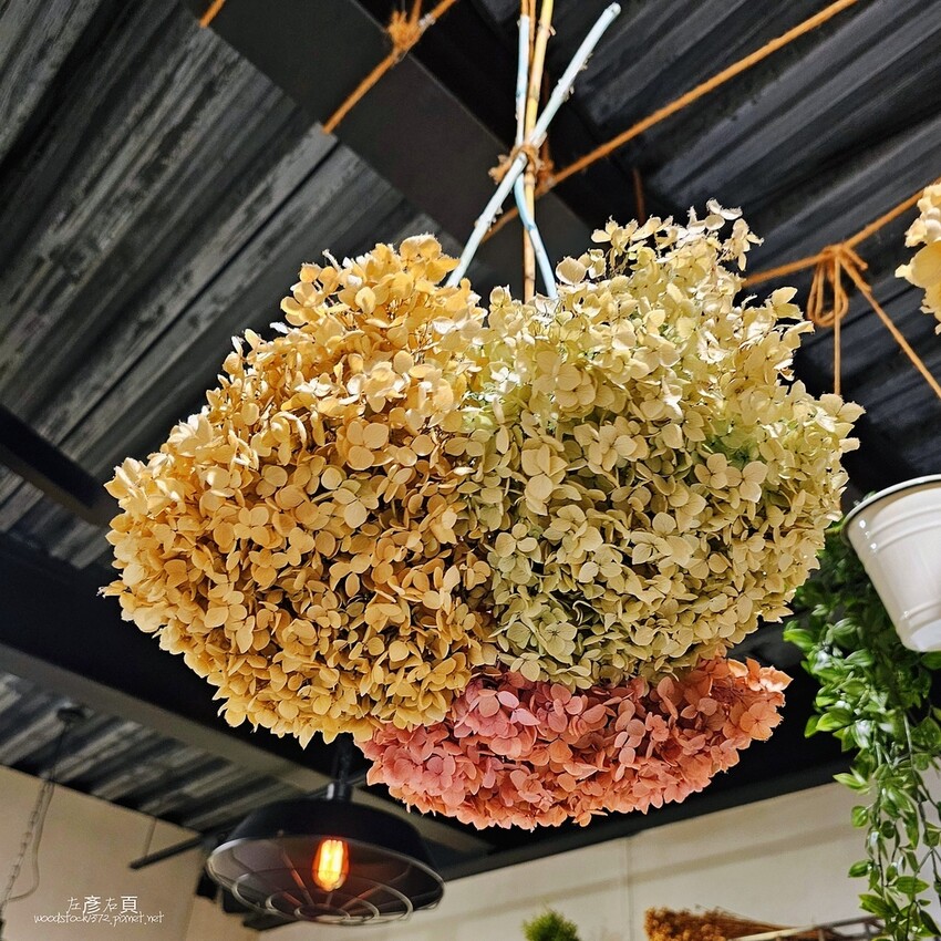 台南北區《小葉鍋物料理》