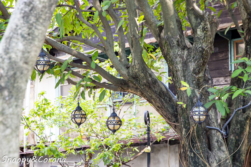 【玩樂．嘉義】嘉義景點／沉睡森林主題公園～北門驛站對面，童話繪本風格小公園