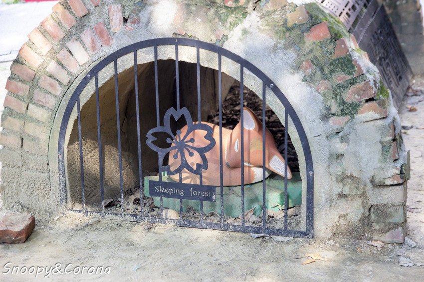 【玩樂．嘉義】嘉義景點／沉睡森林主題公園～北門驛站對面，童話繪本風格小公園