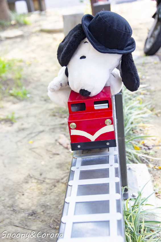 【玩樂．嘉義】嘉義景點／沉睡森林主題公園～北門驛站對面，童話繪本風格小公園