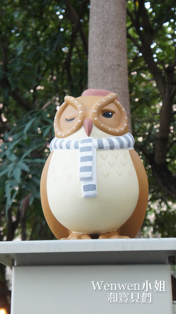 嘉義新景點 沉睡森林 (8).JPG