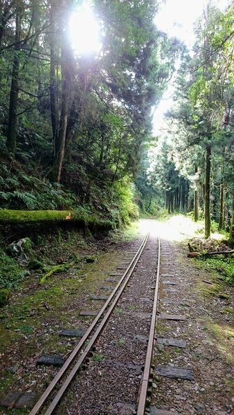 26229784_1745713108793704_7749253489033738987_n