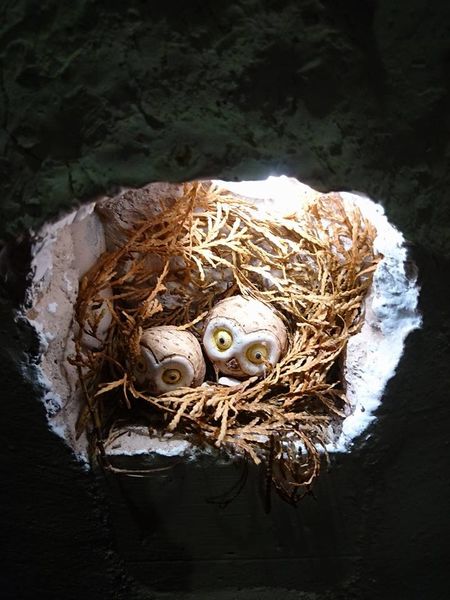 26229947_1747162548648760_5010420581363676107_n