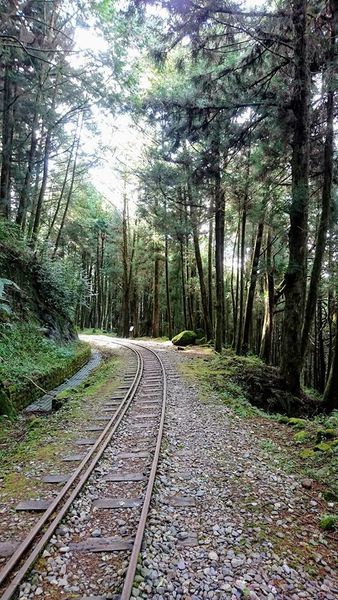 26239024_1745713138793701_8527962112435781379_n