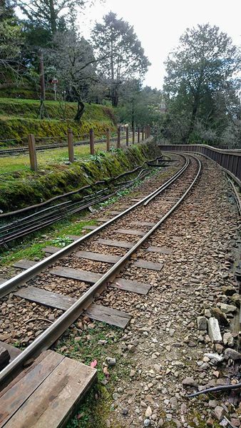 26238958_1745712898793725_4271023872269540295_n