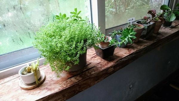 26196406_1746477098717305_1125588206487403378_n