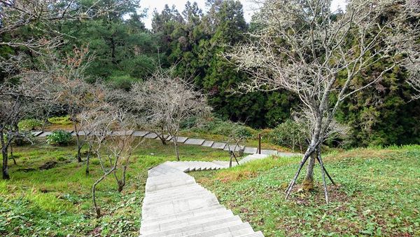 26804341_1745712818793733_3910649311636576967_n