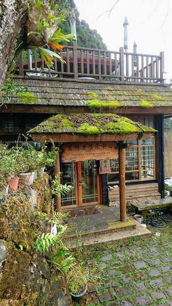 26239642_1746634538701561_2536704603987029407_n