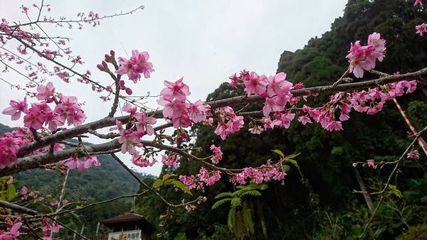 26229567_1746634558701559_5458806871250673028_n