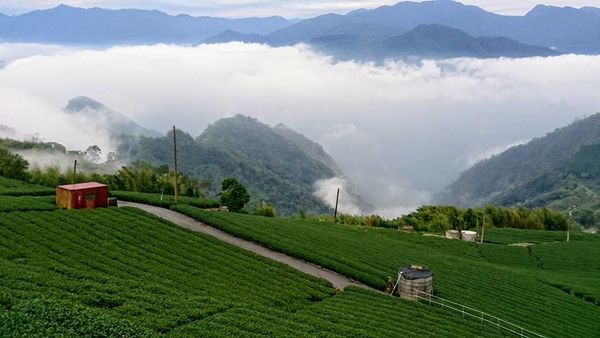 26229494_1746431235388558_2351969596966459283_n