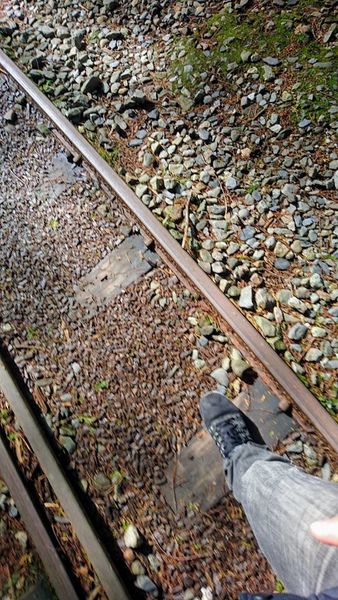 26229635_1745713205460361_3731156355164801397_n