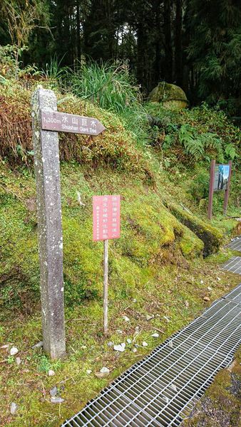 26730815_1745713022127046_8226020304128024647_n