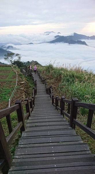 26219117_1745783705453311_4296511345920360149_n