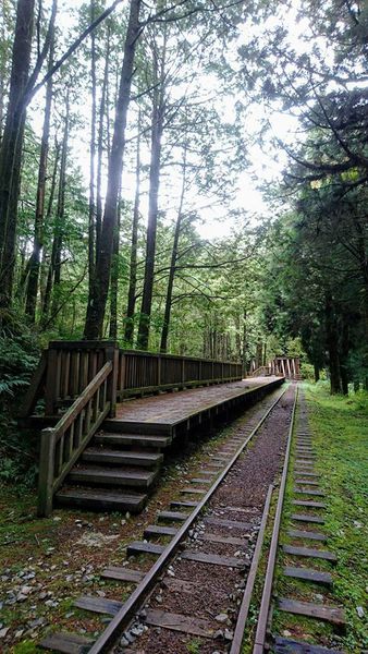 26731138_1745713285460353_1028457883792841359_n