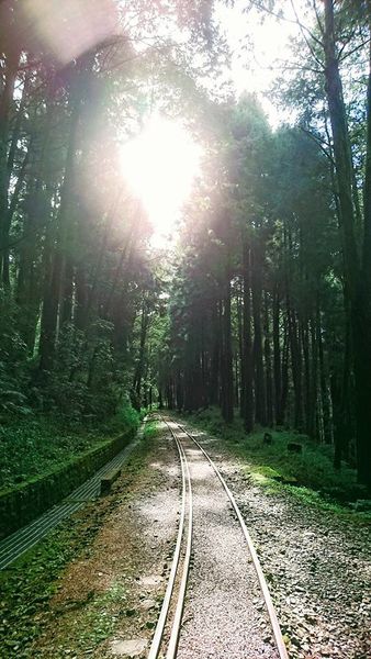 26231680_1745713175460364_4016341297230448072_n