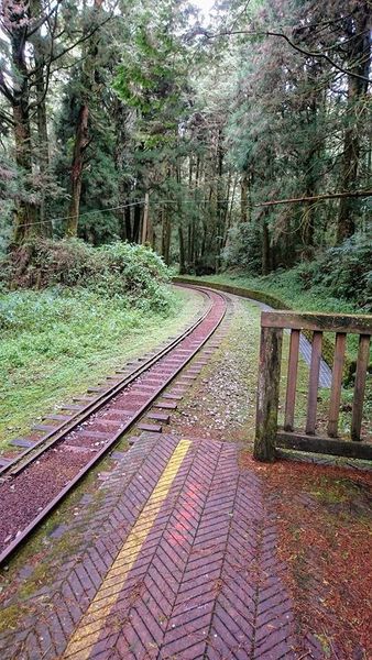 26804792_1745713362127012_1097808804484569961_n