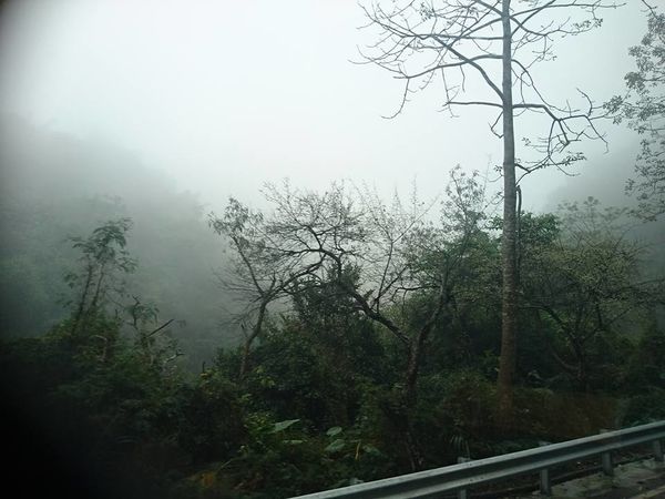 26231652_1745587938806221_368948356581513478_n