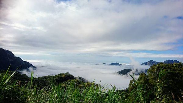 26165637_1745609695470712_90444278036845109_n