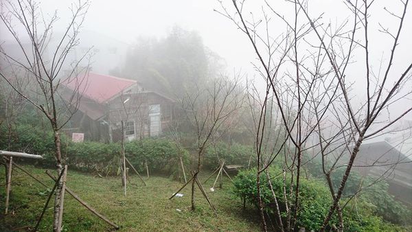 26731638_1746668192031529_4841818631044502084_n