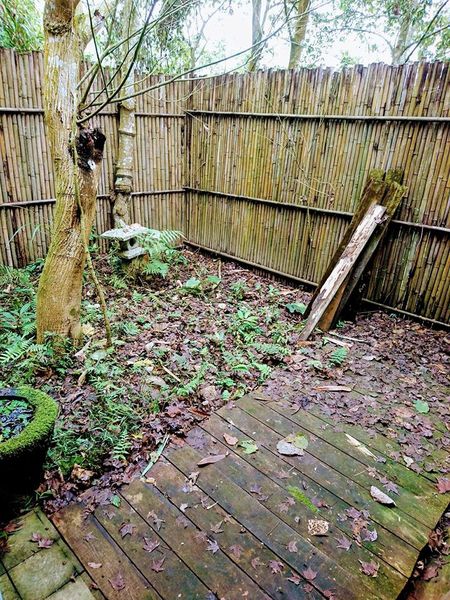 26231342_1748002695231412_5858440054358197166_n