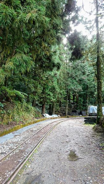 26219909_1745713048793710_6568449789499102786_n