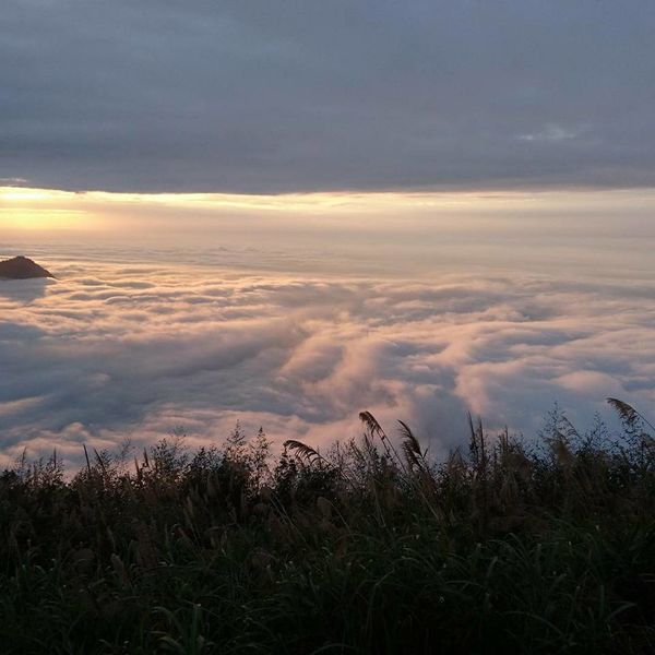 26220203_1745791972119151_6294534167683081048_n