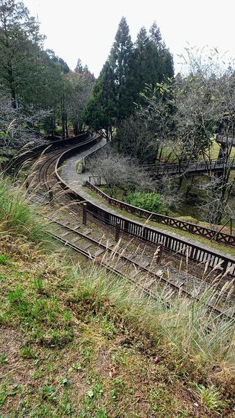 26230708_1745712982127050_3981322093770791544_n