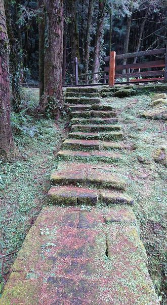 26169794_1745713498793665_7128473939964042198_n