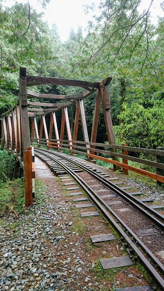 26229875_1745713455460336_5516511662297371401_n