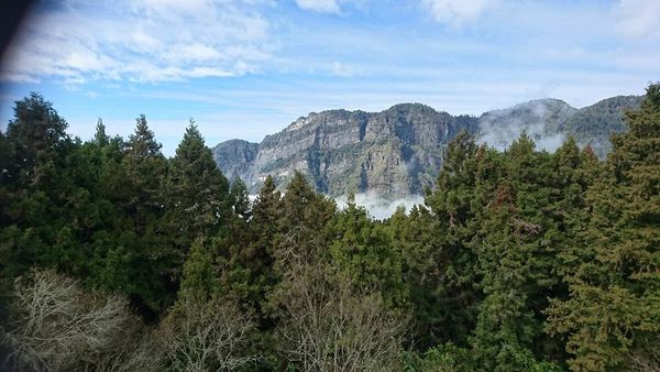 26231498_1745651565466525_3192289550939176645_n