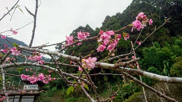 26231474_1746634595368222_8623965451194810361_n