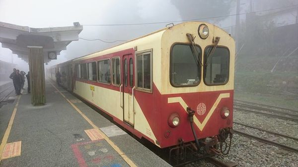 26231177_1746668405364841_2142471375441964952_n