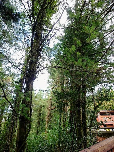 26196175_1745651795466502_5570615035037732007_n