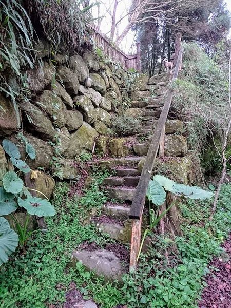 26730791_1746476668717348_5640263359357402860_n