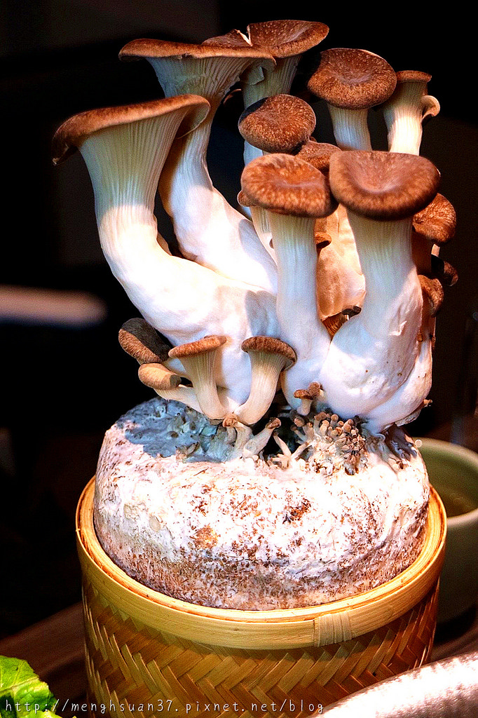 20180321_180321_0014 20180321_180321_0014