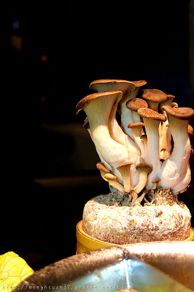 20180321_180321_0008 20180321_180321_0008