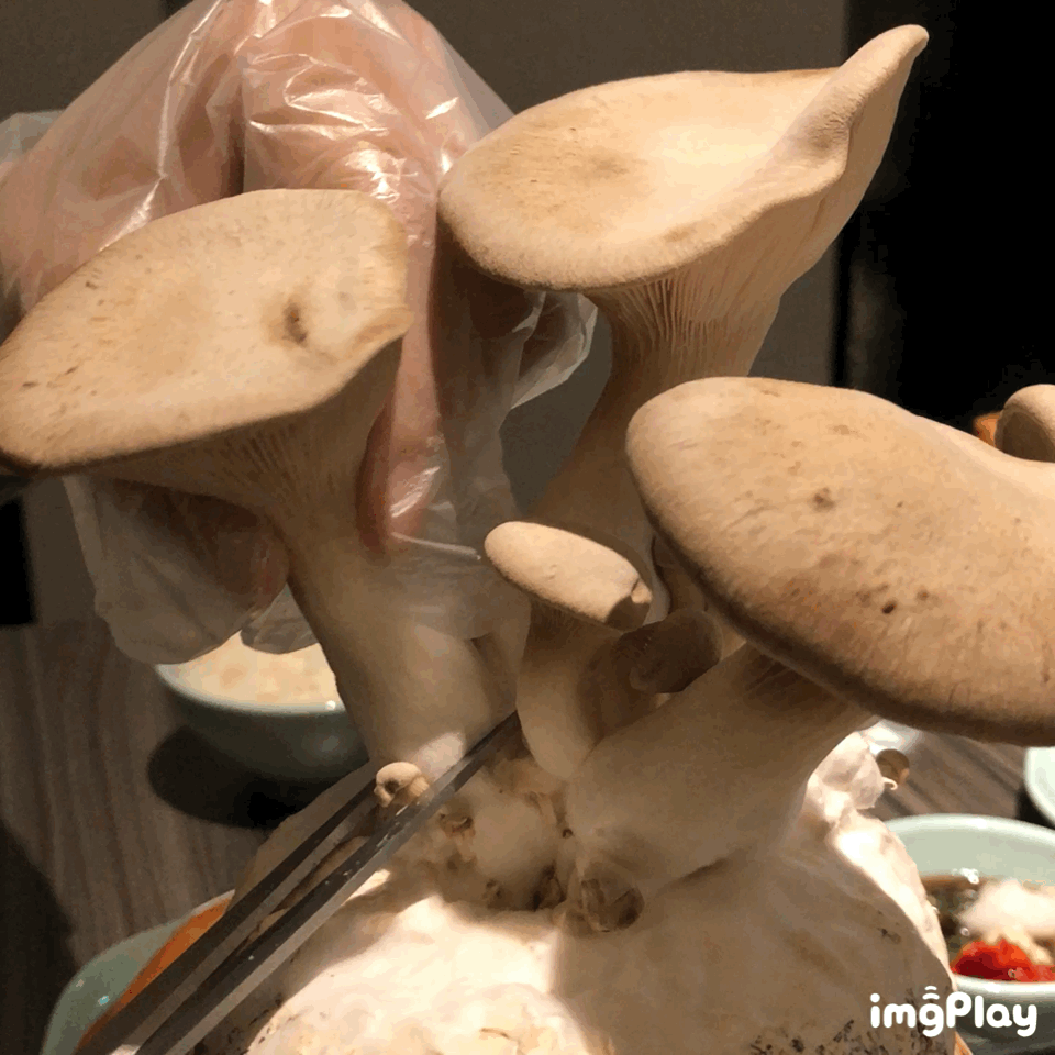 【台北】台北捷運中山站-王品集團-青花驕麻辣火鍋∙獨特青花椒湯頭-宵夜/下午茶