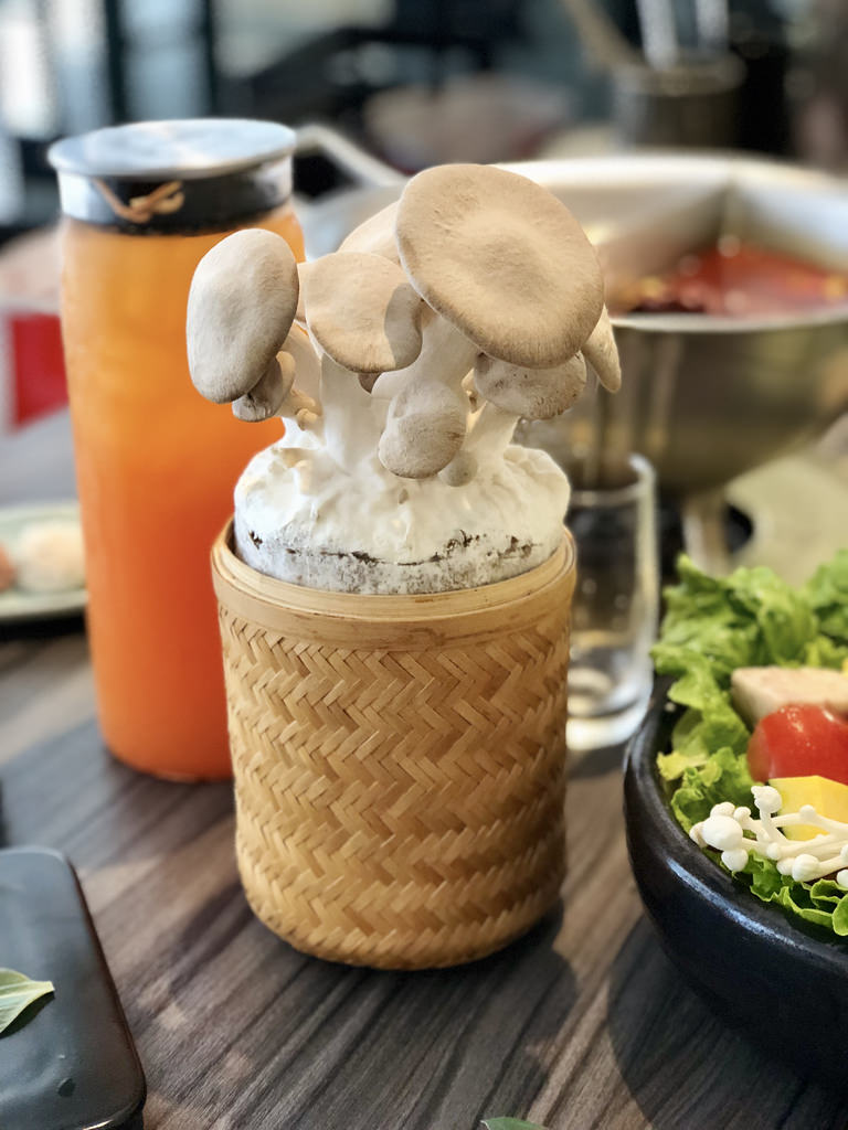 [台北中山] 饕客愛的王品青花驕麻辣鍋 / 台北捷運中山站美食／麻辣火鍋／宵夜／下午茶／青花椒