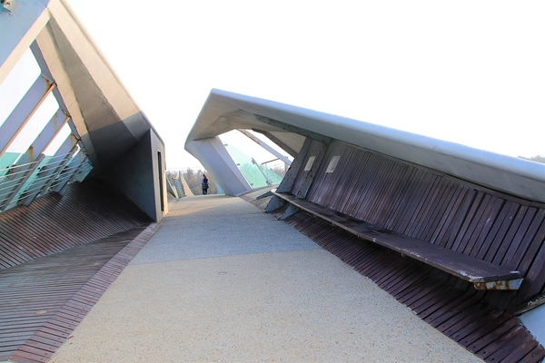 王功景觀生態橋：【彰化芳苑景點】王功景觀生態橋~橋身造型前衛，婚紗拍攝取景點，一整片自然生態的樹林