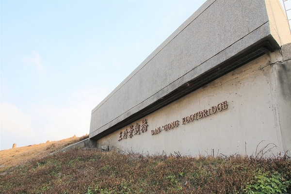 王功景觀生態橋：【彰化芳苑景點】王功景觀生態橋~橋身造型前衛，婚紗拍攝取景點，一整片自然生態的樹林