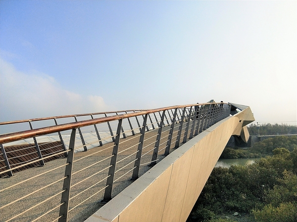 王功景觀生態橋：【彰化芳苑景點】王功景觀生態橋~橋身造型前衛，婚紗拍攝取景點，一整片自然生態的樹林
