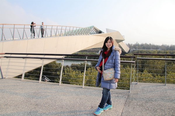 王功景觀生態橋：【彰化芳苑景點】王功景觀生態橋~橋身造型前衛，婚紗拍攝取景點，一整片自然生態的樹林