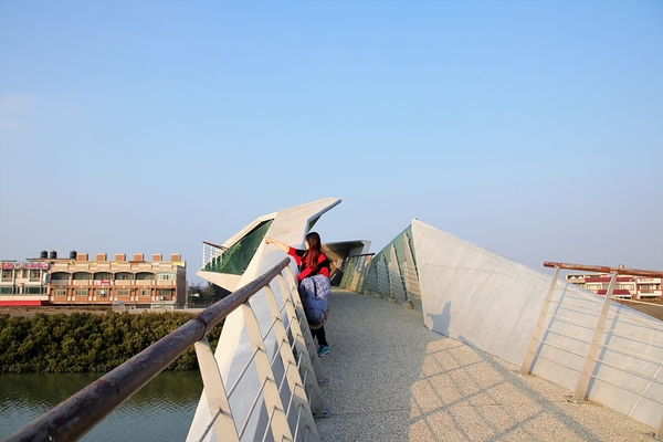 王功景觀生態橋：【彰化芳苑景點】王功景觀生態橋~橋身造型前衛，婚紗拍攝取景點，一整片自然生態的樹林