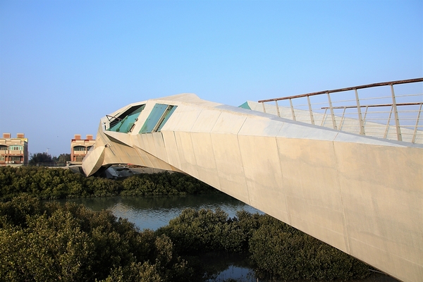 王功景觀生態橋：【彰化芳苑景點】王功景觀生態橋~橋身造型前衛，婚紗拍攝取景點，一整片自然生態的樹林