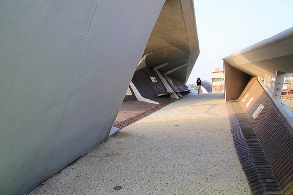 王功景觀生態橋：【彰化芳苑景點】王功景觀生態橋~橋身造型前衛，婚紗拍攝取景點，一整片自然生態的樹林