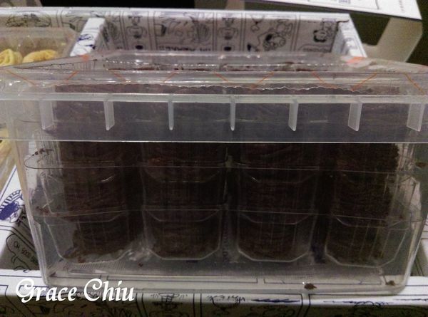 六月初一8結蛋捲 8字蛋捲