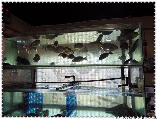 <捷運奇岩站>家族、三五好友聚餐，選用當日漁獲、新鮮美味餐點、平價海鮮料理～北投龜山島海鮮料理餐廳