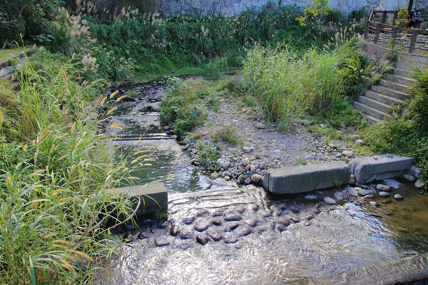 【桃園市龍潭景點】太平紅橋~漫步全國歷史百大建築 - 旅遊夜市趴趴走